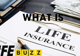 WHAT IS LIFE INSURANCE AND HOW DOES LIFE INSURANCE WORK IN CANADA