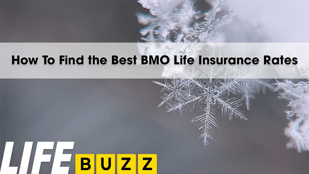 How To Find the Best BMO Life Insurance Rates