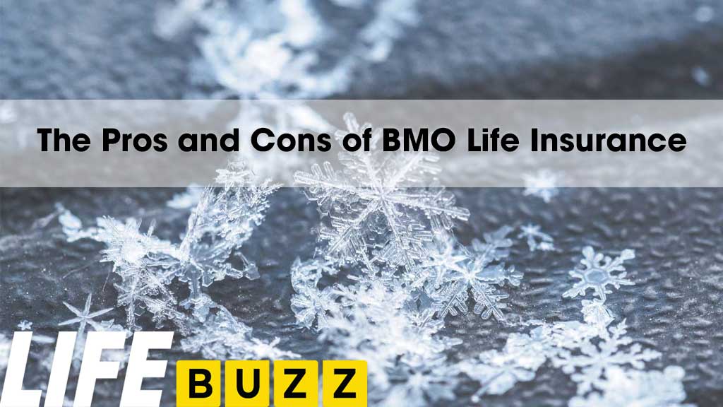The Pros and Cons of BMO Life Insurance
