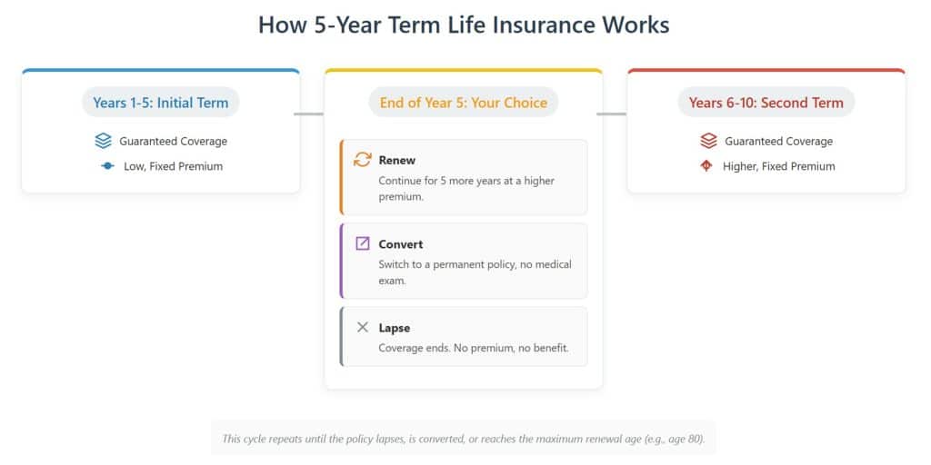 How 5-Year Term Life Insurance Works