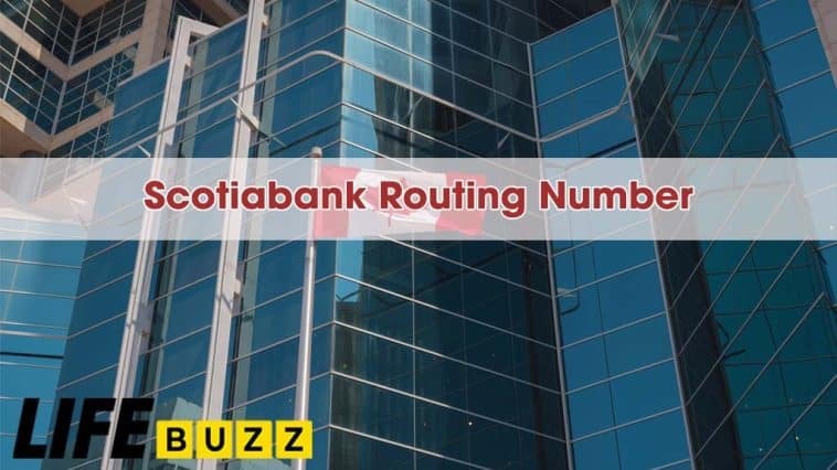 Find and use Scotiabank routing number