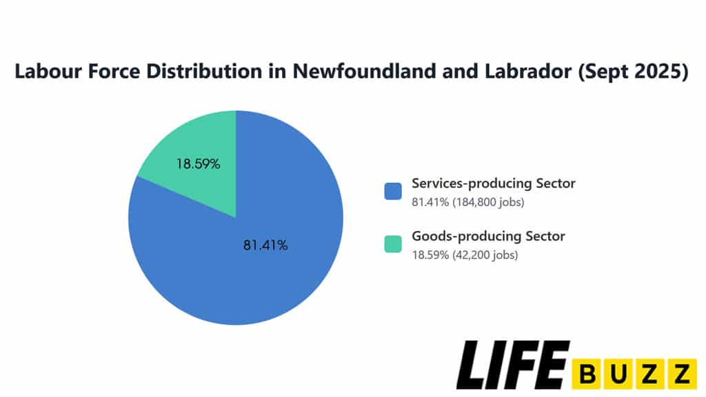 Labour Force Distribution in Newfoundland and Labrador