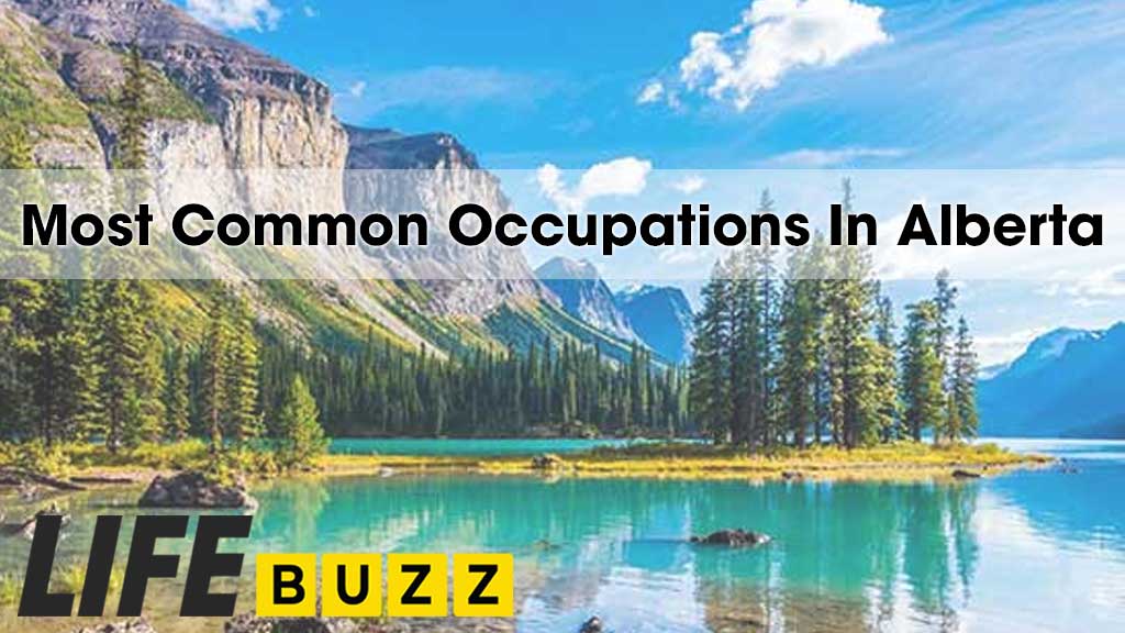 Most Common Occupations In Alberta