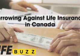 Borrowing Against Life Insurance in Canada