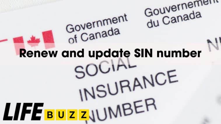 Renew SIN number