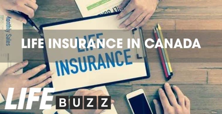 life insurance in canada of lifebuzz