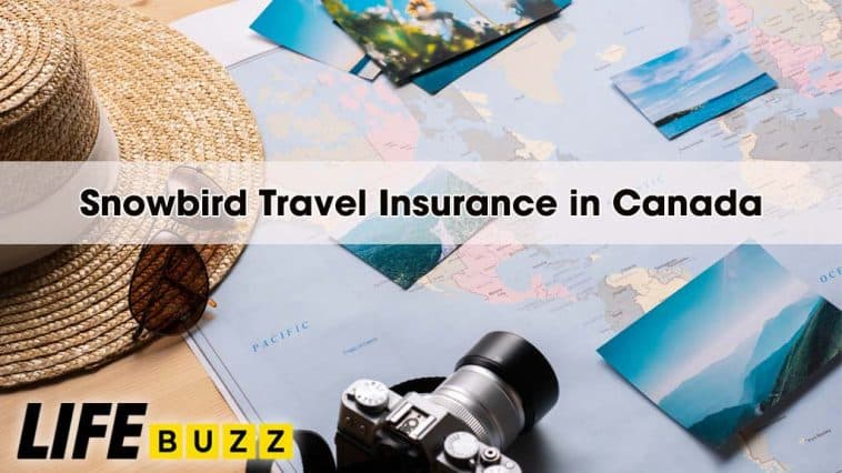 Snowbird Travel Insurance in Canada