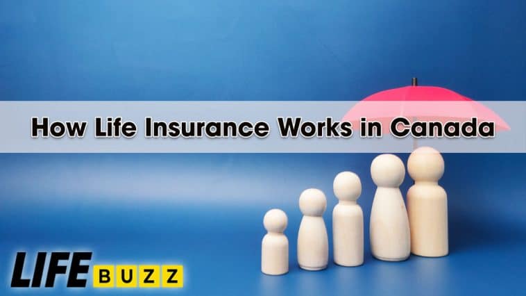 How Does Life Insurance Work in Canada